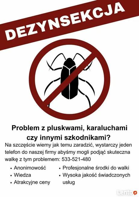 Usługi DDD-Zwalczanie pluskwy, os, szerszeni karaluchów