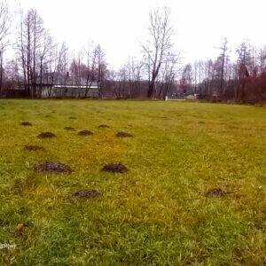 Działka od 5000m2 do 1,4ha Nowy Cygów Poświętne Wołomin medi