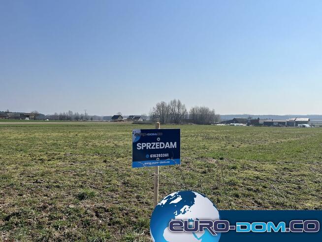 DZIAŁKI Z WARUNKAMI ZABUDOWY - Krzywiń, Szurkowo