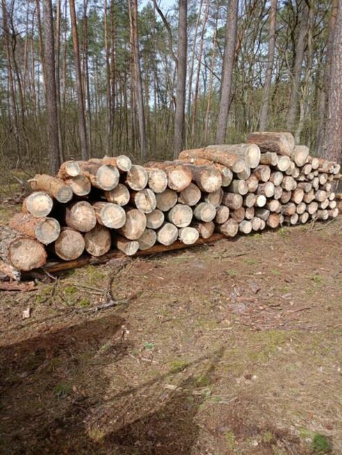 Sprzedam drewno opałowe