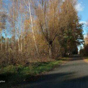 Działka budowlana 1090 i 1500m Chrzęsne Tłuszcz Postoliska b