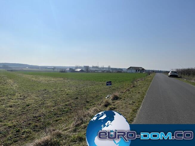 DZIAŁKI Z WARUNKAMI ZABUDOWY - Krzywiń, Szurkowo