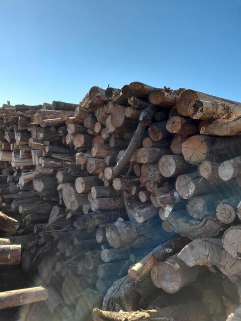 Sprzedam drewno opałowe