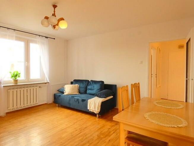 Wynajmę 2 pokoje pet friendly, Kochanowskiego 26