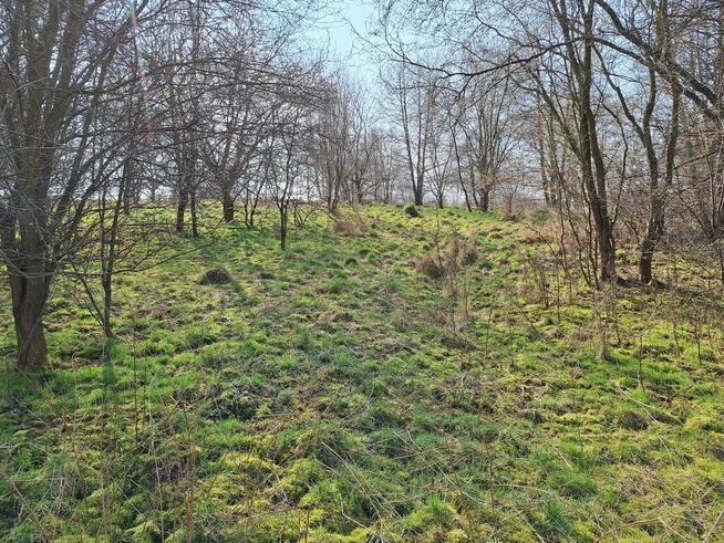 Działki rolne - Lgota k./Wadowic