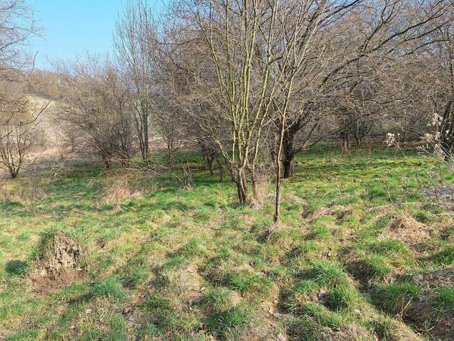 Działki rolne - Lgota k./Wadowic