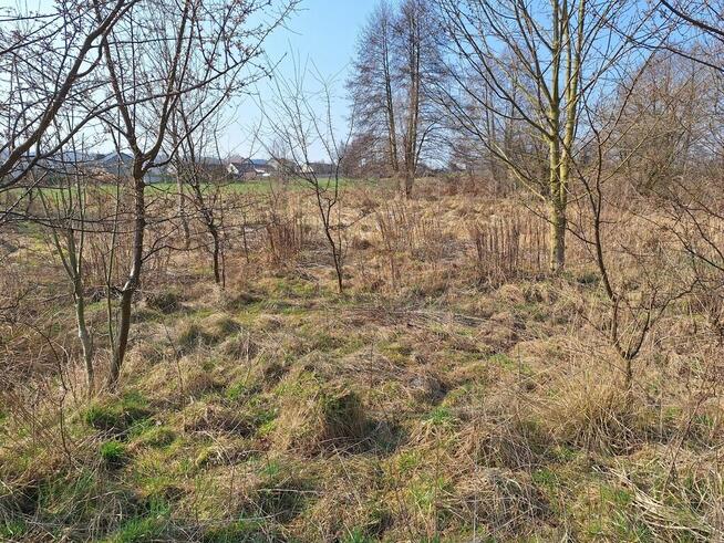 Działki rolne - Lgota k./Wadowic