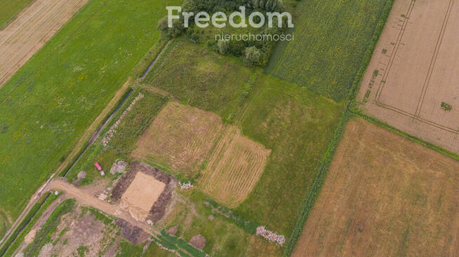 Działka w Nowym Dworze Gdańskim przy ul. Nasiennej