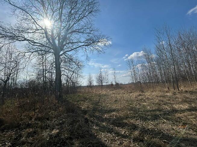 Działka rolna Ryczów gm. Spytkowice