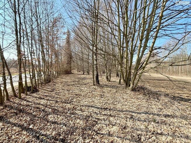 Działka budowlana Kazimierz Dolny Góry II