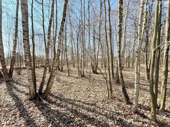 Działka budowlana Kazimierz Dolny Góry II