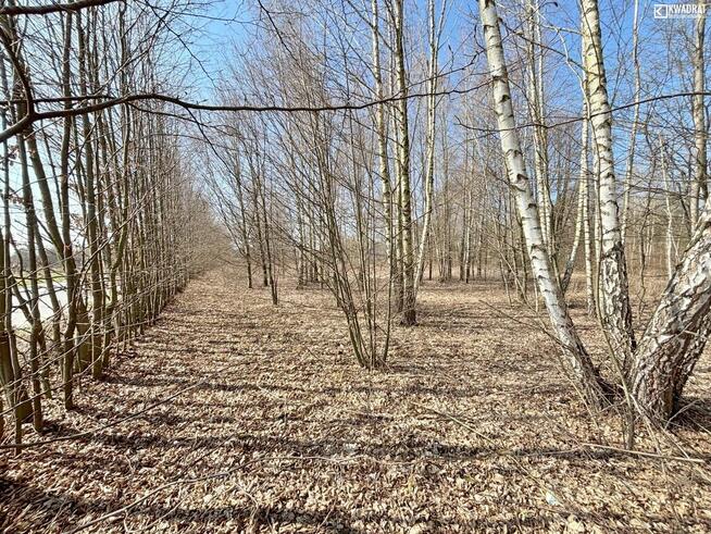 Działka budowlana Kazimierz Dolny Góry II