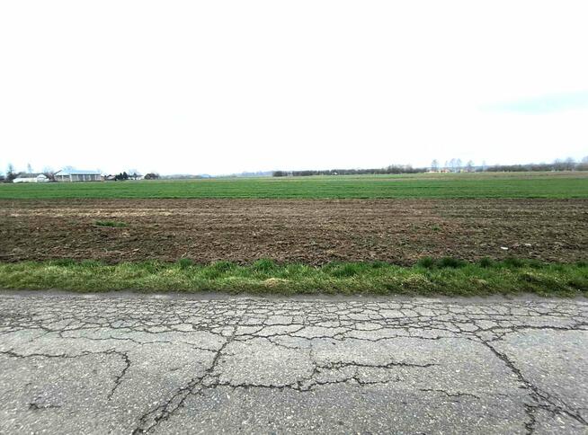 Działka rolno-budowlana Siedliska gm. Kamionka