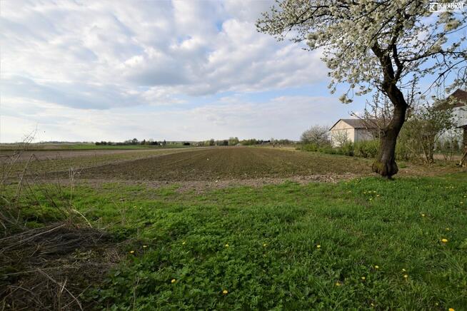 Działka rolno-budowlana Łubki Kolonia gm. Wojciechów