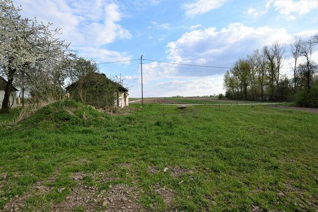 Działka rolno-budowlana Łubki Kolonia gm. Wojciechów