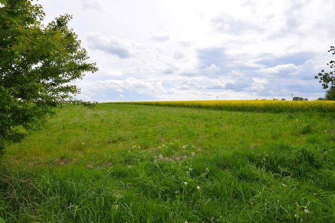 Działka budowlana Nasutów gm. Niemce