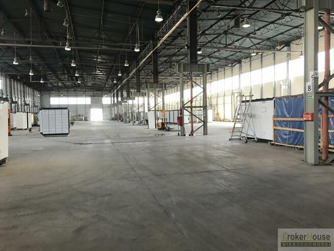 Lokal użytkowy Opole Kolonia Gosławicka, Wschodnia