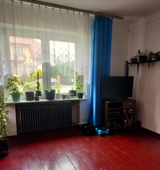 Przepiękny ogród i funkcjonalny dom, bud do prow dzial gosp