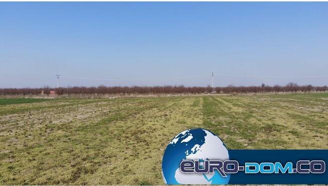 DZIAŁKI Z WARUNKAMI ZABUDOWY - Krzywiń, Szurkowo