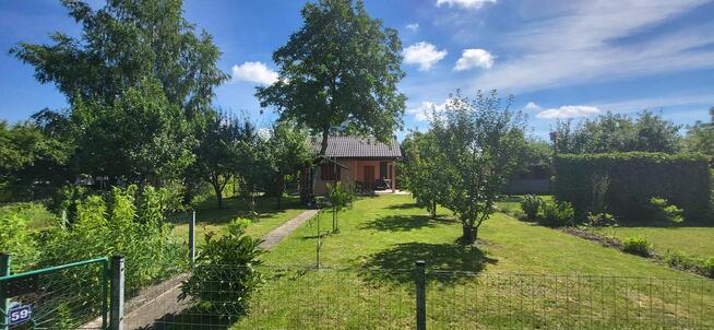 Sprzedam działkę ROD