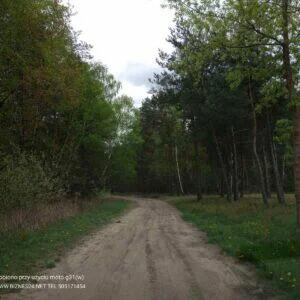 Działka łąka 9000 m pod lasem Lipka, Nadbiel Wołomin