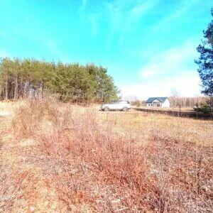 Działka 1600 Kołaków, Guzowatka, Radzymin w otulinie lasów