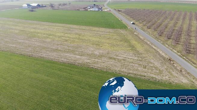 DZIAŁKI Z WARUNKAMI ZABUDOWY - Krzywiń, Szurkowo