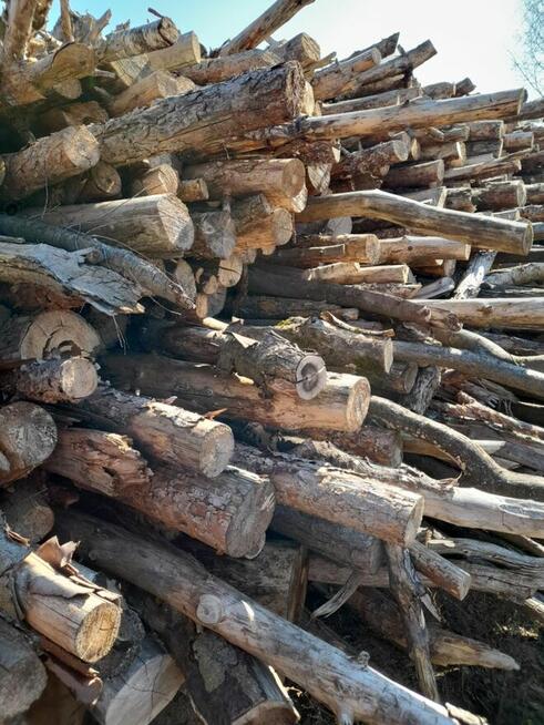 Sprzedam drewno opałowe