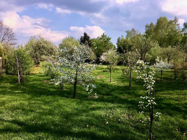 Przepiękny ogród i funkcjonalny dom, bud do prow dzial gosp