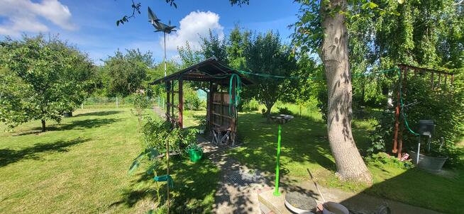 Sprzedam działkę ROD