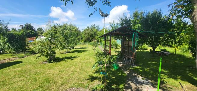 Sprzedam działkę ROD