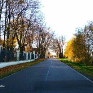 Działka budowlana 1090 i 1500m Chrzęsne Tłuszcz Postoliska b