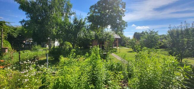 Sprzedam działkę ROD