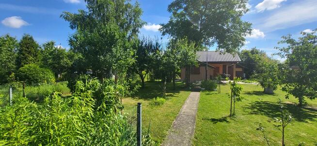 Sprzedam działkę ROD