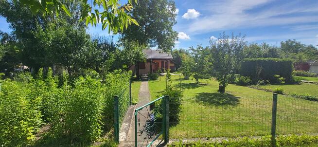 Sprzedam działkę ROD