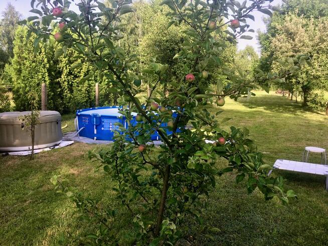 Przepiękny ogród i funkcjonalny dom, bud do prow dzial gosp