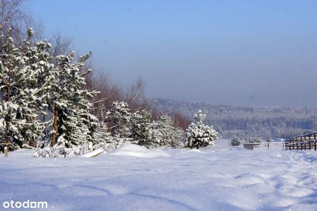 Działki w Sokolich Górach ! Dni otwarte 12.04!