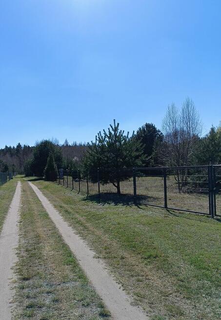 Działka rekreacyjna 1200 m2 blisko Łodzi, pod dużym lasem