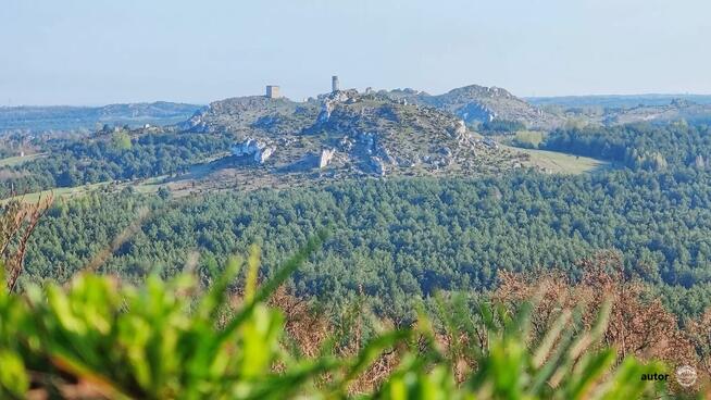 Działki w Sokolich Górach ! Dni otwarte 12.04!