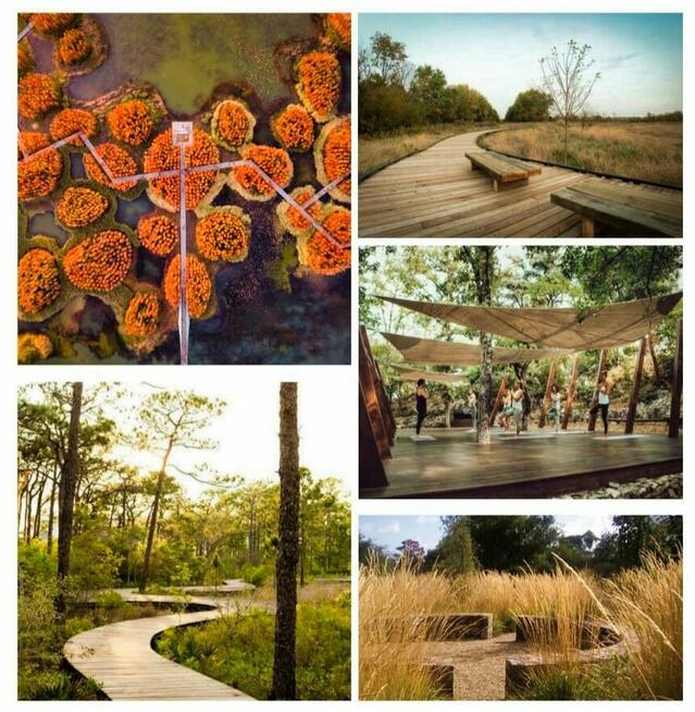 Działka budowlana nad jeziorem Skolickim