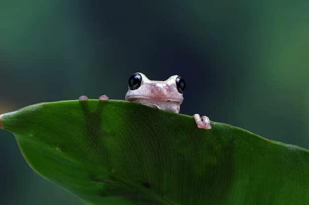 Warsztaty dla dzieci i młodzieży Egzotyczny świat