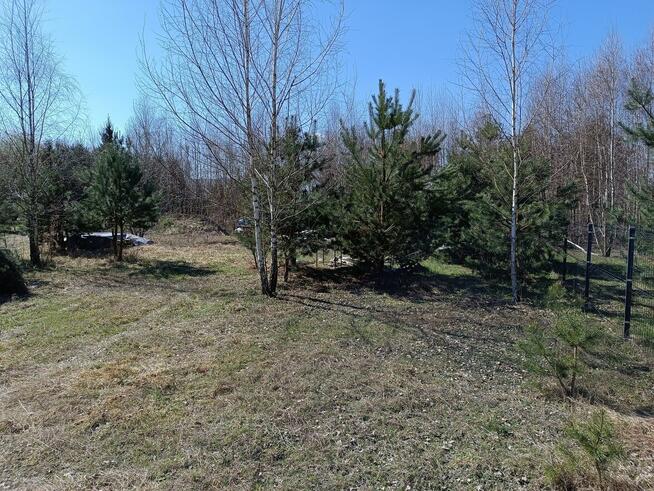 Działka rekreacyjna 1200 m2 blisko Łodzi, pod dużym lasem