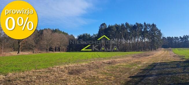 Działka w otulinie leśnej - Grabowiec