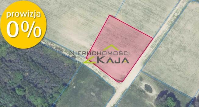 Działka w otulinie lasu - Grabowiec