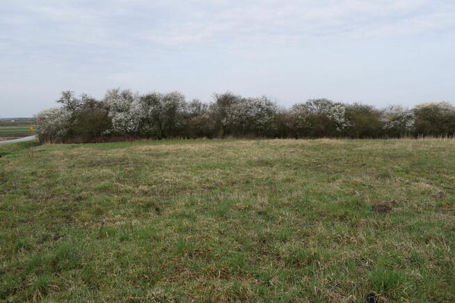 Działka 69a pod budownictwo- Stobierna