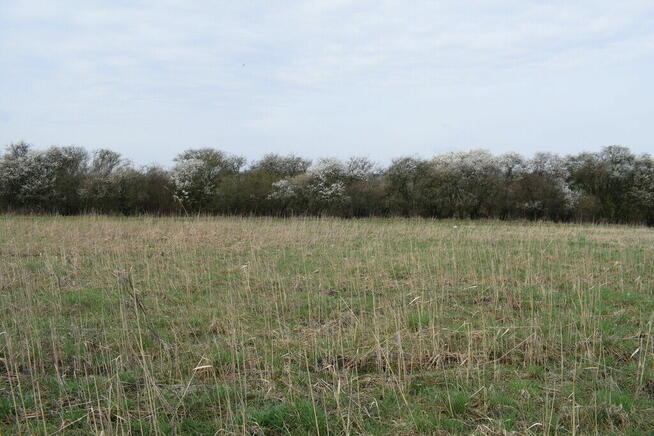 Działka 69a pod budownictwo- Stobierna