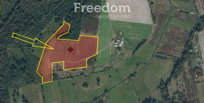 Enklawa wśród lasu blisko Bialej Podlaskiej