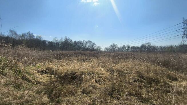 Działka przemysłowa Syrynia gm. Lubomia