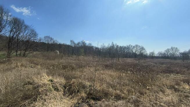 Działka przemysłowa Syrynia gm. Lubomia