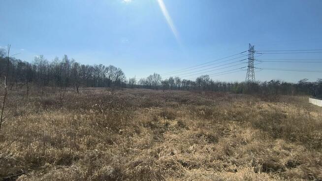 Działka przemysłowa Syrynia gm. Lubomia